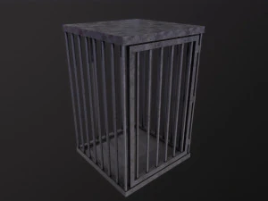 Cage 3D Model