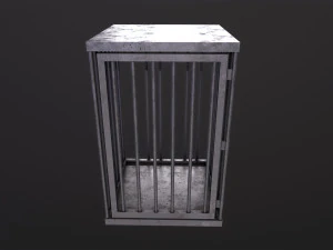 Cage 3D Model