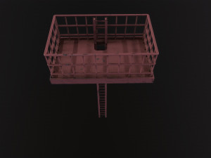 Scaffold 3D 模型