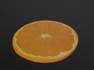 Orange slice cirlce 3D Model