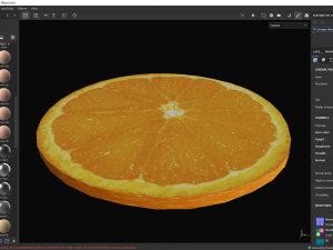 Orange slice cirlce 3D Model