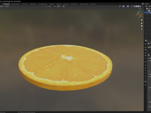 Orange slice cirlce 3D Model