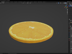 Orange slice cirlce 3D Model