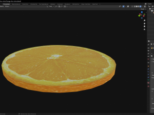 Orange slice cirlce 3D Model