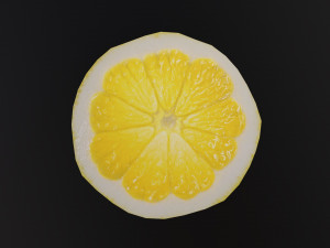 Lemon slice Modelo 3D