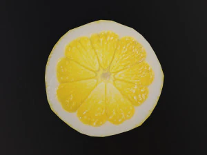 Lemon slice 3D Model