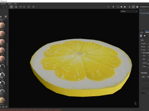 Lemon slice 3D Model