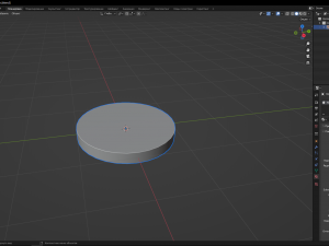 Kiwi Modello 3D
