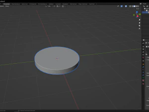Kiwi 3D Model