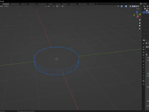 Kiwi 3D Model