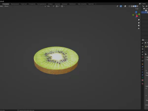 Kiwi 3D Model