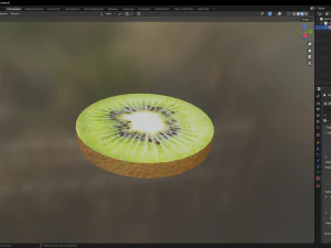 Kiwi 3D Model