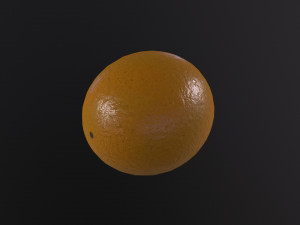 Orange 3D 모델