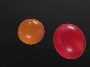 Tomatoes Modelo 3D