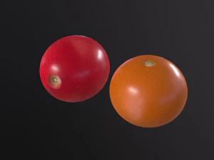 Tomatoes 3D Model