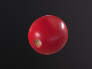 Tomatoes Modello 3D