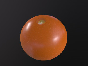 Tomatoes Modello 3D