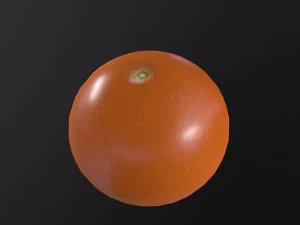 Tomatoes 3D Model