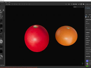 Tomatoes 3D Model