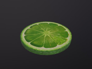 A Slice of Lime 3D 모델