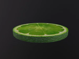 A Slice of Lime 3D Model