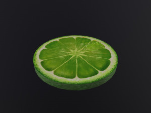 A Slice of Lime Modello 3D