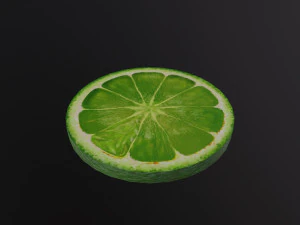 A Slice of Lime 3D Model