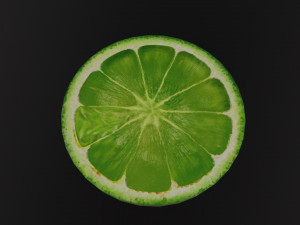 A Slice of Lime Modello 3D