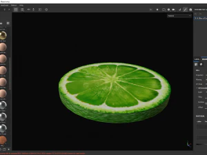 A Slice of Lime 3D Model