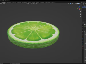 A Slice of Lime 3D Model