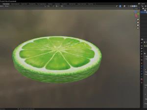 A Slice of Lime 3D Model