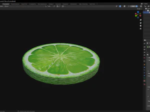 A Slice of Lime 3D Model