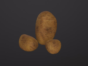 Realistic Potato 3D Model