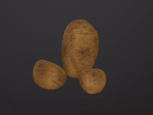 Реалістична картопля 3D Модель