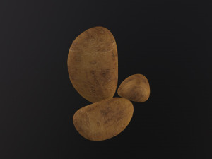 Realistic Potato Modello 3D
