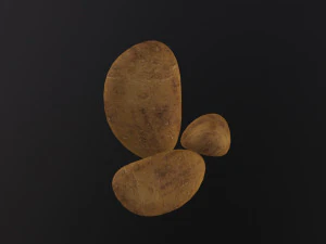 Realistic Potato 3D Model