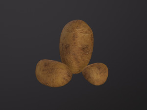 Realistic Potato Modello 3D