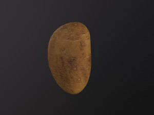 Realistic Potato Modello 3D