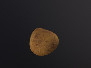 Realistic Potato Modello 3D