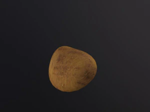 Realistic Potato 3D Model