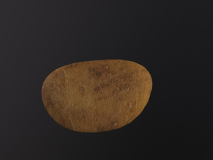 Realistic Potato Modello 3D