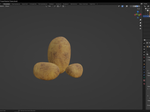 Realistic Potato Modello 3D