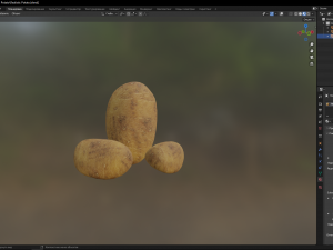 Realistic Potato Modello 3D