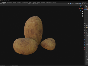 Realistic Potato Modello 3D