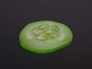 Slice of Cucumber Modelo 3D