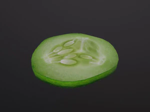 Slice of Cucumber 3D Model