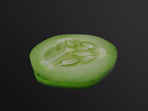 Slice of Cucumber Modèle 3D