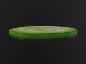 Slice of Cucumber Modèle 3D