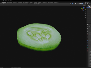 Slice of Cucumber Modèle 3D
