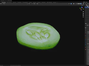 Slice of Cucumber 3D Model